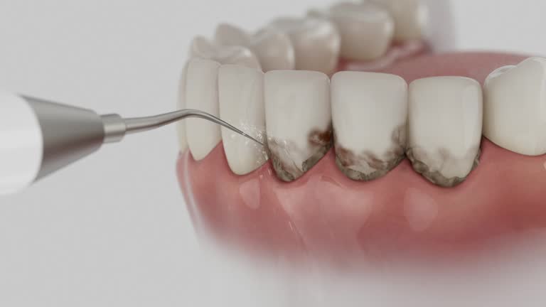 Reliable Dental contractor in Harwood Heights, IL by Dentist Open Now